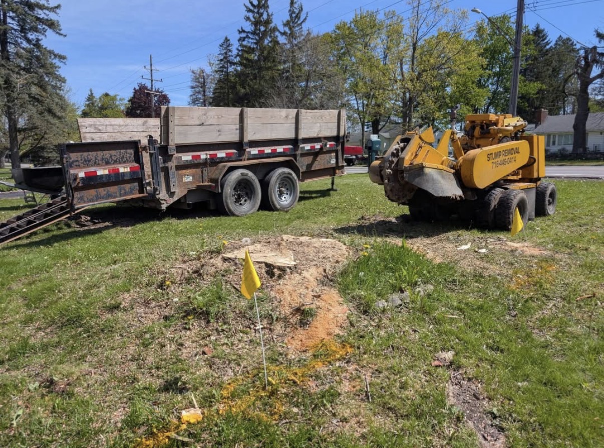 Stump Removal LLC wheeled stump grinder and dump trailer beside a freshly ground stump