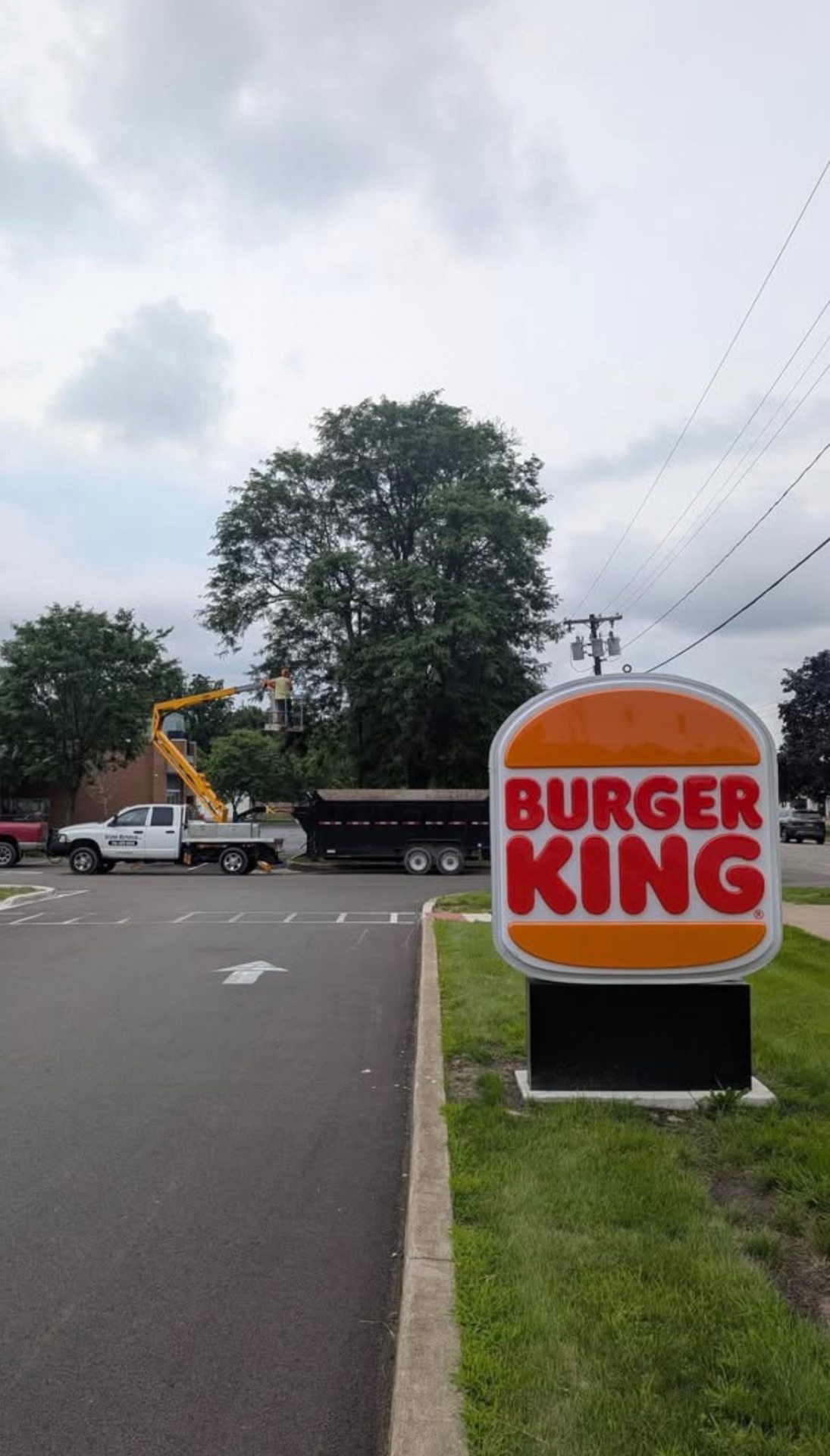 Operator grinding stumps in a commercial parking lot island with safety cones